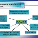 Значение почв