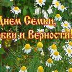 С Международным днём семьи, дорогие жители Бирского городского поселения