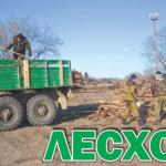 ⁣ ОГАУ «Биробиджанский лесхоз» предлагает твёрдое топливо (дрова).