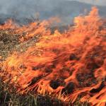 При наступлении теплой погоды в весеннее и летнее время года – традиционно считаются наиболее пожароопасным периодом. Из-за неосторожного обращения с огнем в России ежегодно выгорают сотни гектаров леса, возникают пожары в жилом секторе, погибают люди.