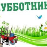 А сколько мусора собрали вы?