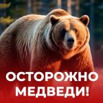 Администрация Бирского городского поселения предупреждает: