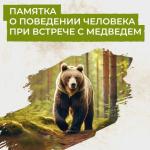 Лето — время прогулок, рыбалки, походов за ягодами и выездов на природу. Именно в этот период возрастает вероятность пересечься с диким зверем.