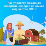 Оформление прав на общее имущество СНТ в упрощенном порядке